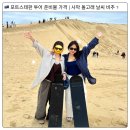 낙타와돌고래 | 포트스테판 투어 사막 돌고래 동물원 가격 날씨 추천 비추 솔직후기