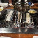 팔팔덤프 - 4696 | 팔팔덤프