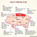 백봉농산(주) | 지리산 흑돼지 돼지고기 직거래해유~ 까매요를 아시나유~~~ 명인 박영식 대표님이 건강하게 키운 명품...