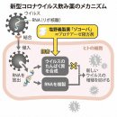 시오노기의 신형 코로나약, 인정받지 못한 &#39;사후 해석&#39;의 내막. 이미지