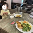 쿠퍼티노 | 쿠퍼티노 숙소 고민 중이라면? 3주간 직접 살아본 후기!