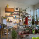 더모먼트플라워 이미지