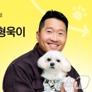손해보험1_카카오페이