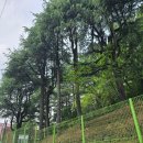 애모노래방 | 2024 6月 넷째 주 : 먹고 먹고 또 먹고