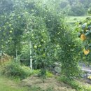 앞뜰농장 이미지