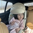 더선 | 38개월 아기랑 냅인더선샤인 후기(주차, 동물종류, 가격대)