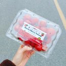 카인드팜 이미지