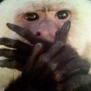 드루와PC방 이미지