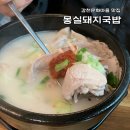 종가집족발 | 부산 감천문화마을 맛집 몽실종가돼지국밥 아미동 대학병원