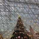 애플골프아카데미 | 서울 코엑스 별마당도서관 크리스마스 트리