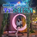 [푸른술집 할라 수원 인계점] 매운 홍게 오뎅탕 시원 칼칼한 국물이 예술! 인계동 대형 술집