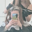 리나헤어라인