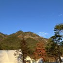 벤자민 펜션 &amp; 글램핑 후기 및 팁(?)