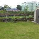 코코하우스 이미지