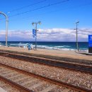 정동진역 이미지