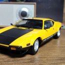 1:18 Exact Detail, Kyosho, Highway61 / 판테라GTS, 머스탱, 험머 판매합니다. 이미지