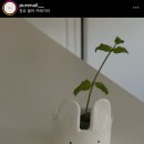 임영약국 이미지