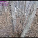 재포주유소 이미지