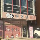 크릉크릉 멍품유치원 | [일산 대화동] 일산 애견유치원 멍플리 후기｜만족도 최상! 강아지가 집에 와서 바로 뻗어버린 이유...