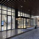 화이트홀 이미지