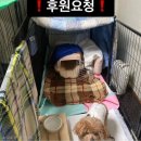 한아름쉼터