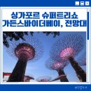 우림슈퍼 | 싱가포르 여행 슈퍼트리쇼 시간, 명당자리 &amp; 가든스바이더베이 가는방법