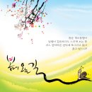 입구집 Daum카페