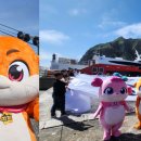 아일랜드 이미지