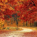 켄싱턴 리조트 지리산 하동 이미지