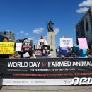 고려축산2농장 이미지