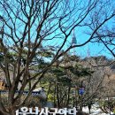 꼬꼬마을 Daum카페