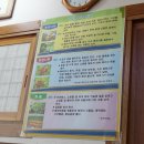 조가네닭갈비