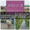 지산농장 | 용인 처인구 아이랑 용인 동물먹이체험 가능한 포레스트벨 농장