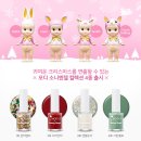 네일엔젤 - 제주시 연동12길 5 | 네일엔젤
