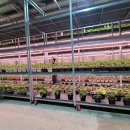 시티팜 주식회사 이미지