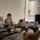 우두리 포펫 애견펜션 이미지