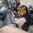 그랜드쏠라 | 샹샹샹상하이1탄