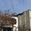 오전지구대 | 제천 카페 지구대 🚔 :: 잘못한 것도 없는데 제천 지구대 들어간 후기 (feat. 뜻밖의 반전) / 위치, 주차