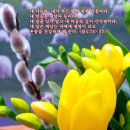 기독교 바탕화면 2013년 3월 사진 31장 이미지