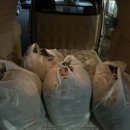 런드리샤워 이미지