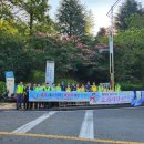 마로니에길 이미지