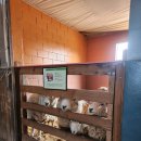 꼬꼬팜 | 포천 서운동산 동물 베이비팜 아기랑