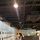 유화약국 - 수원시 권선구 수인로 173 | 국립현대미술관 서울 데미안 허스트 전시 관람 후기
