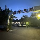 춤추는부추오리구이 | 감골오리동탄점 오리부추구이 식사후기