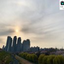 개포3-109 이미지