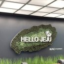 블로그시작하기&사진편집 | W15. 제주 웨딩촬영 야외스냅 촬영 후기 &#34;더수트옴므/설레다 메이크업/빛물꽃/연그라미&#39;