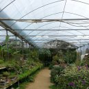 초가시골밥상 이미지