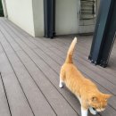 동주풀빌라 가동 이미지