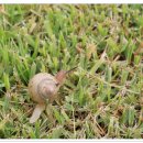 인화농장 이미지