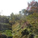 구암동496 이미지